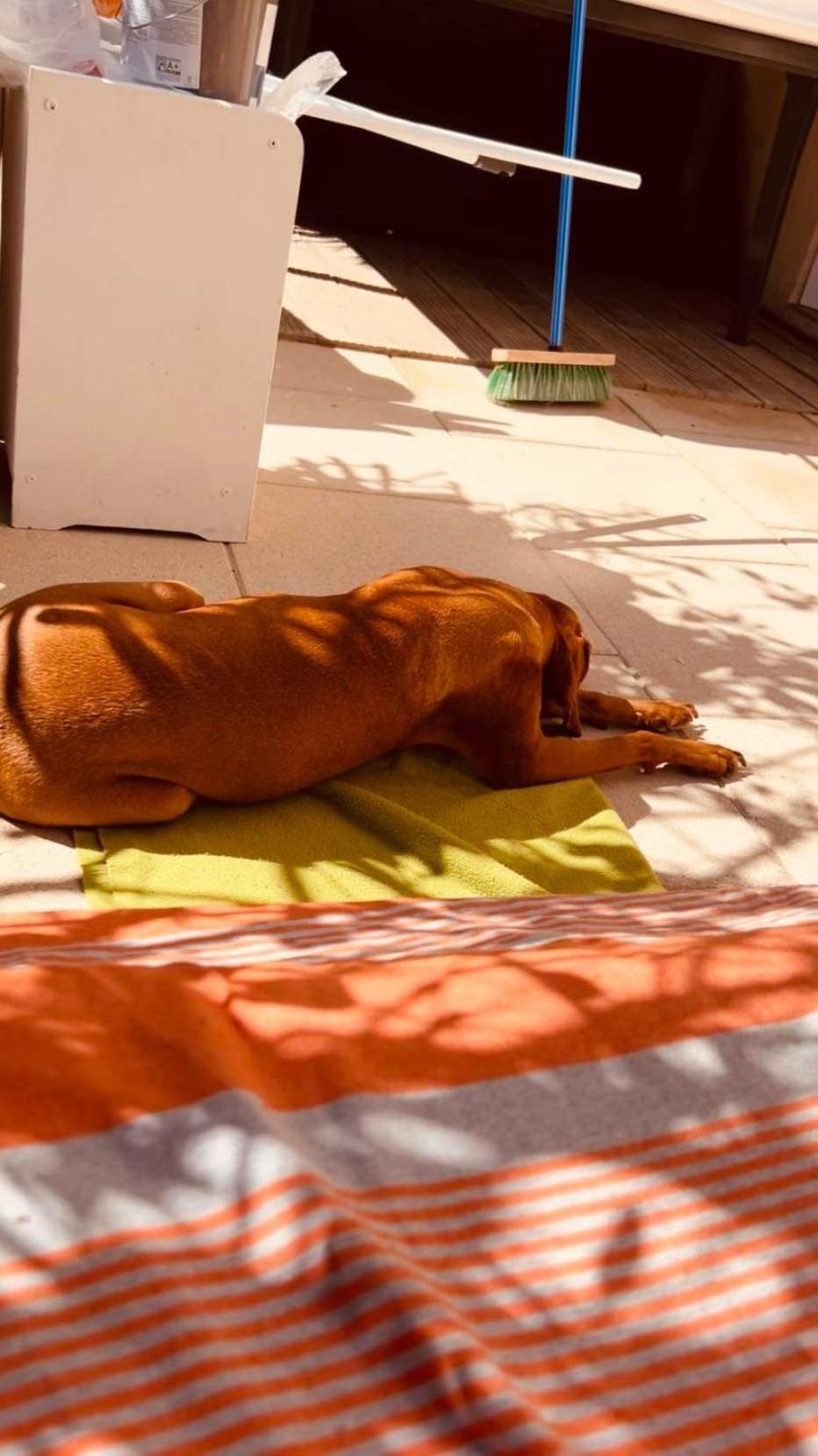 Plage / Beach / Marines De Gassin / Saint-Tropez ภายนอก รูปภาพ